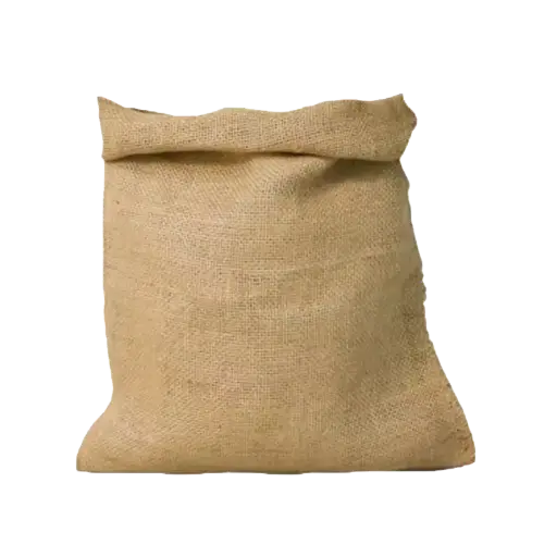 [PN25030079] robot petrin florence 2000 w 5 litre